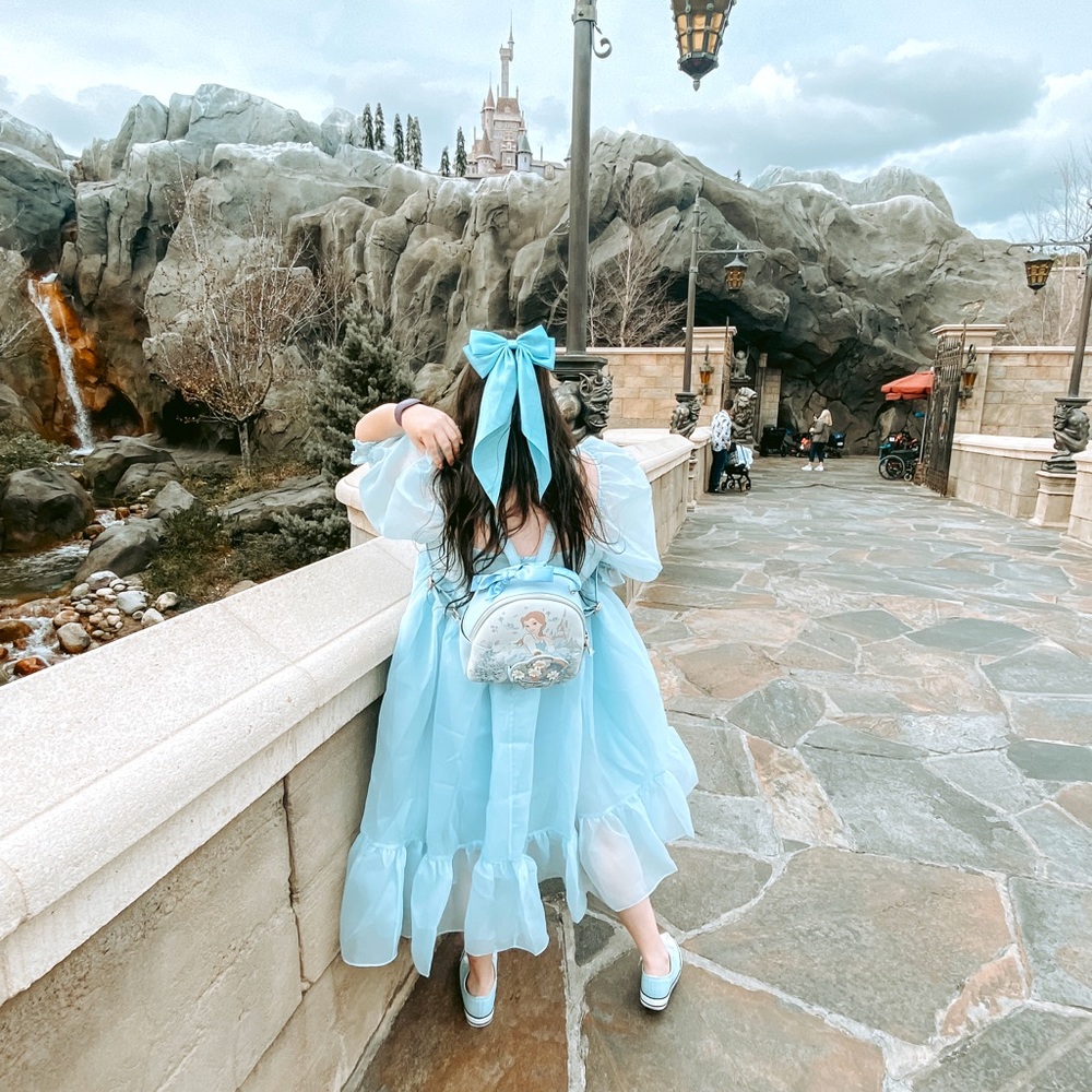 Danielle Nicole Blue Belle Bag.